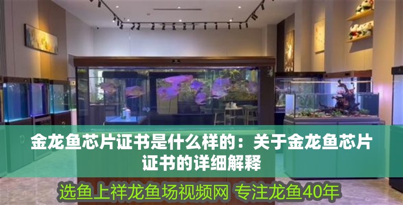 金龍魚芯片證書是什么樣的：關于金龍魚芯片證書的詳細解釋