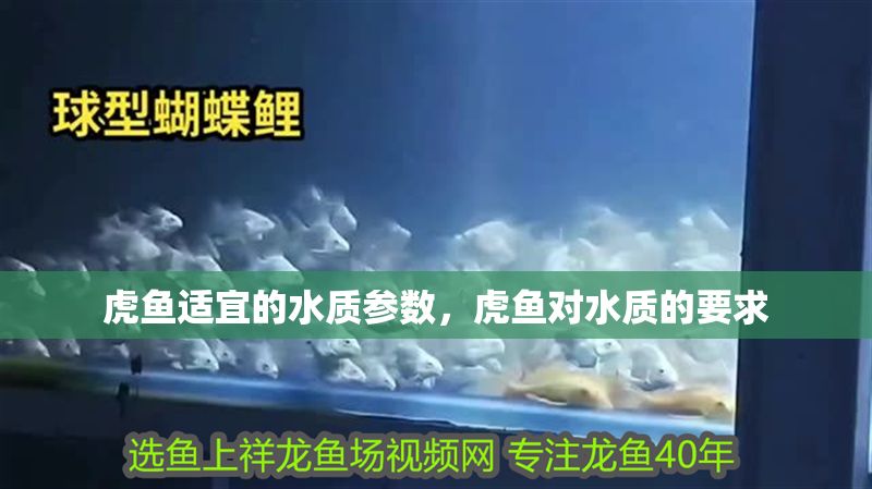 虎魚適宜的水質(zhì)參數(shù)，虎魚對(duì)水質(zhì)的要求