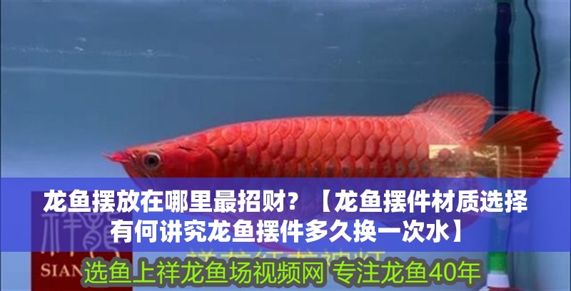 龍魚擺放在哪里最招財？【龍魚擺件材質選擇有何講究龍魚擺件多久換一次水】