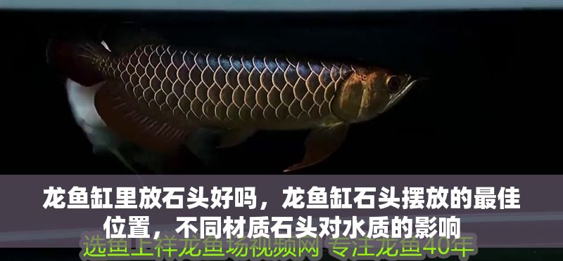 龍魚缸里放石頭好嗎，龍魚缸石頭擺放的最佳位置，不同材質(zhì)石頭對水質(zhì)的影響