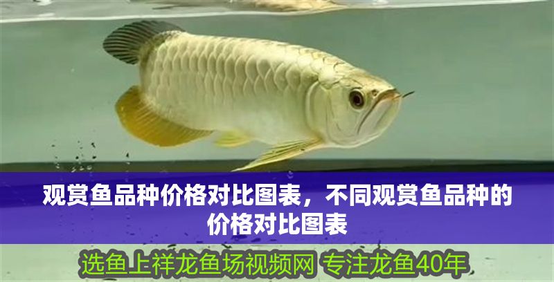 觀賞魚品種價格對比圖表，不同觀賞魚品種的價格對比圖表 觀賞魚品種價格對比圖表，不同觀賞魚品種的價格對比圖表 虎魚百科 第2張
