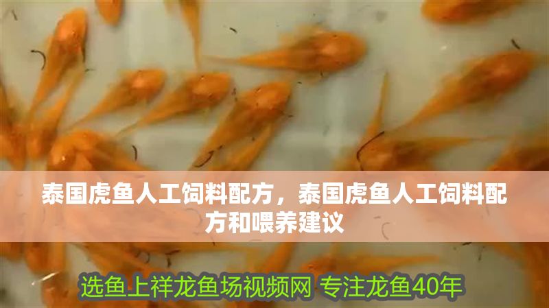 泰國虎魚人工飼料配方，泰國虎魚人工飼料配方和喂養建議