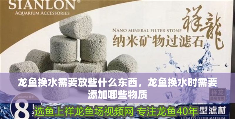 龍魚換水需要放些什么東西，龍魚換水時需要添加哪些物質