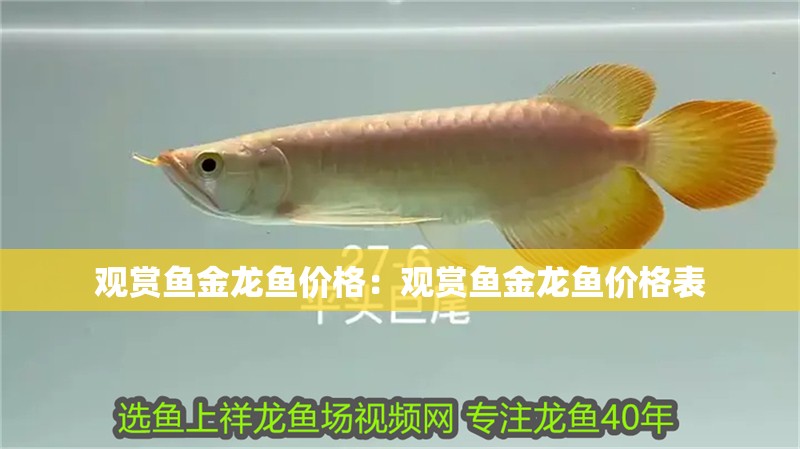觀賞魚金龍魚價格：觀賞魚金龍魚價格表