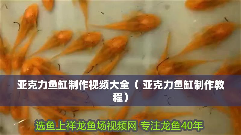 亞克力魚缸制作視頻大全（ 亞克力魚缸制作教程）