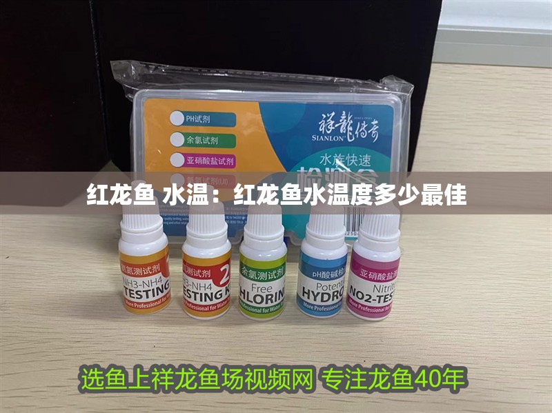 紅龍魚 水溫：紅龍魚水溫度多少最佳