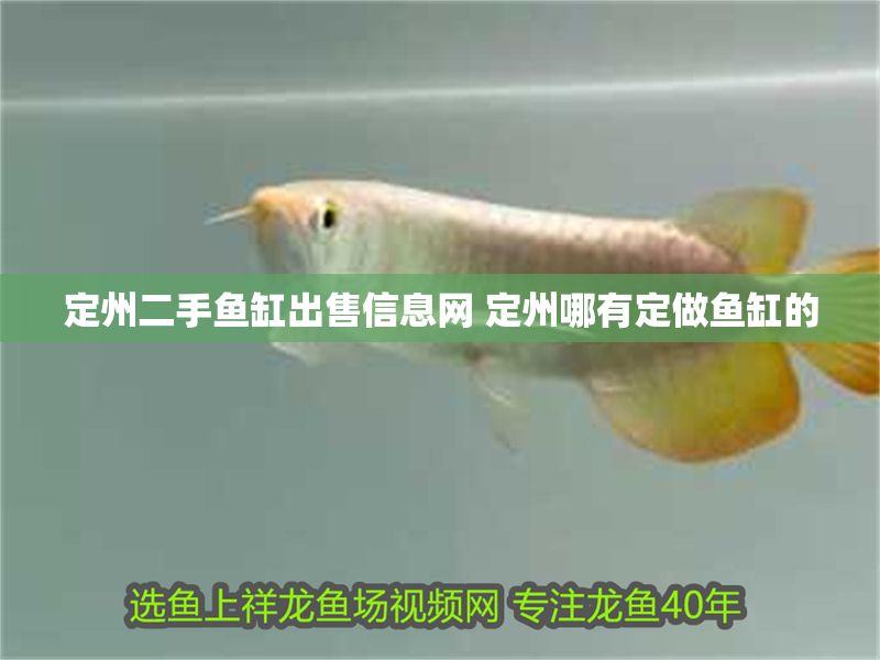 定州二手魚缸出售信息網 定州哪有定做魚缸的