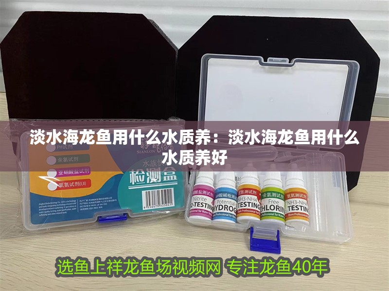 淡水海龍魚用什么水質養(yǎng)：淡水海龍魚用什么水質養(yǎng)好