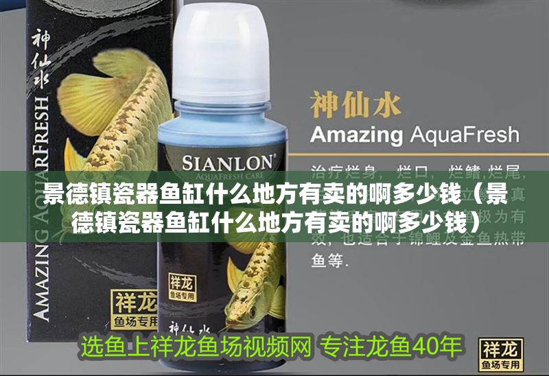 景德鎮瓷器魚缸什么地方有賣的啊多少錢（景德鎮瓷器魚缸什么地方有賣的啊多少錢）