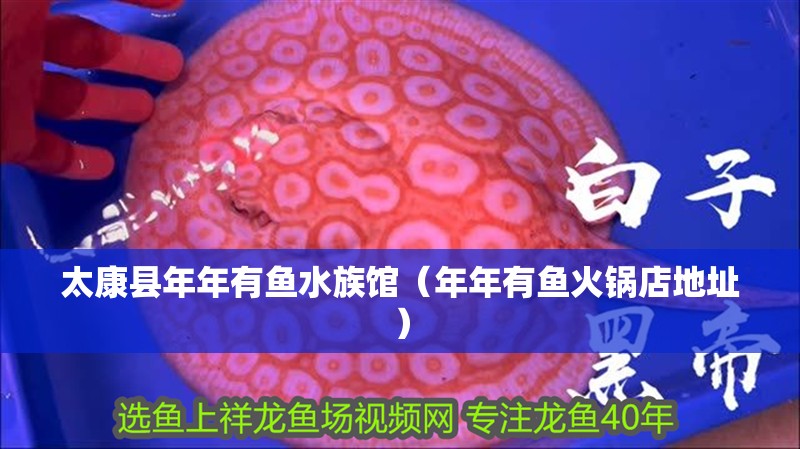 太康縣年年有魚水族館（年年有魚火鍋店地址）