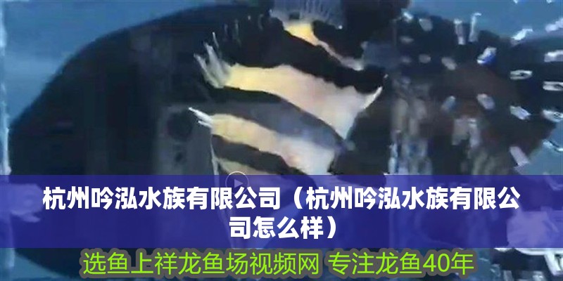 杭州吟泓水族有限公司（杭州吟泓水族有限公司怎么樣）