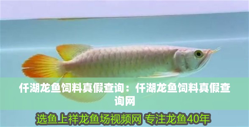 仟湖龍魚飼料真假查詢：仟湖龍魚飼料真假查詢網
