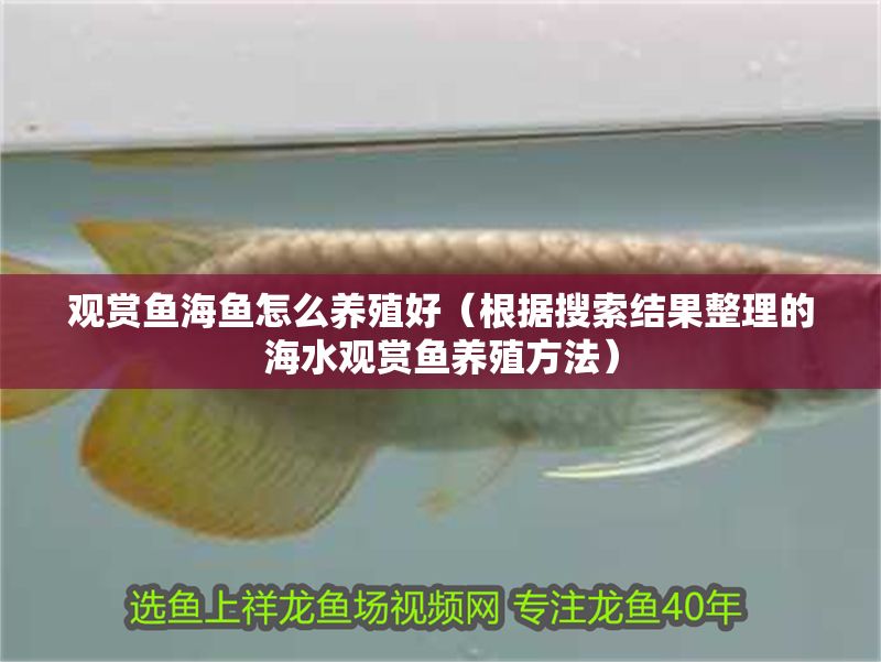 觀賞魚海魚怎么養殖好（根據搜索結果整理的海水觀賞魚養殖方法）