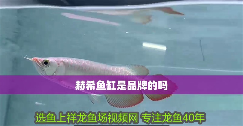 赫希魚缸是品牌的嗎