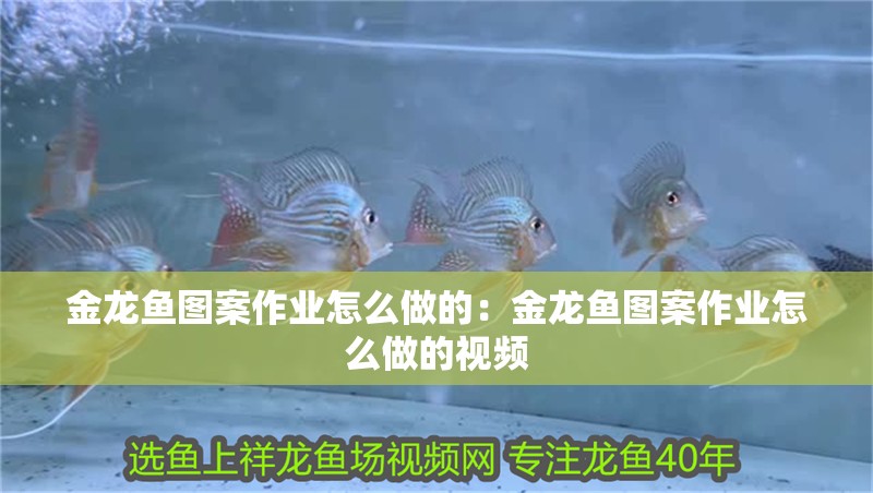 金龍魚圖案作業怎么做的：金龍魚圖案作業怎么做的視頻