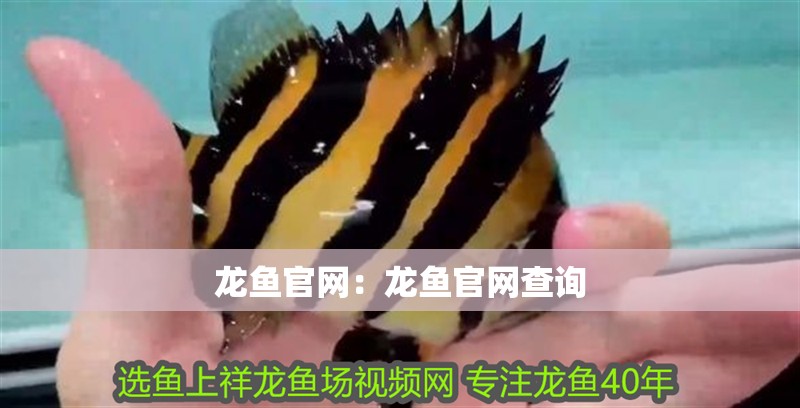 龍魚官網：龍魚官網查詢