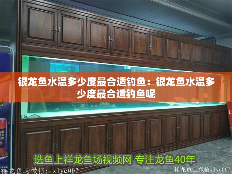 銀龍魚水溫多少度最合適釣魚：銀龍魚水溫多少度最合適釣魚呢