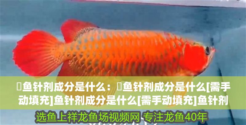魟魚針劑成分是什么：魟魚針劑成分是什么[需手動(dòng)填充]魚針劑成分是什么[需手動(dòng)填充]魚針劑成分是什么