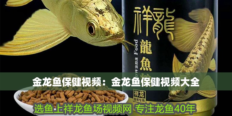 金龍魚保健視頻：金龍魚保健視頻大全