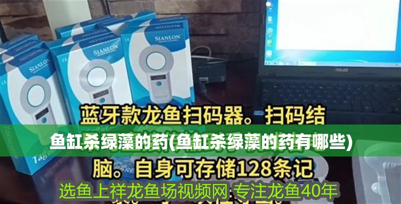 魚缸殺綠藻的藥(魚缸殺綠藻的藥有哪些)