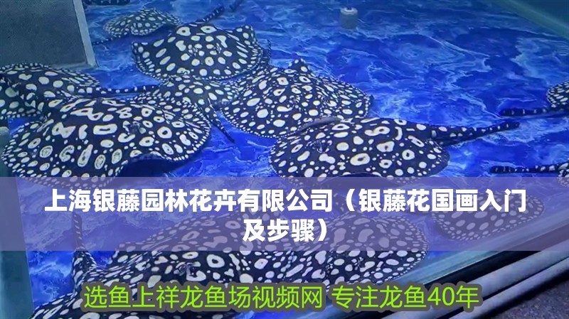 上海銀藤園林花卉有限公司（銀藤花國畫入門及步驟）