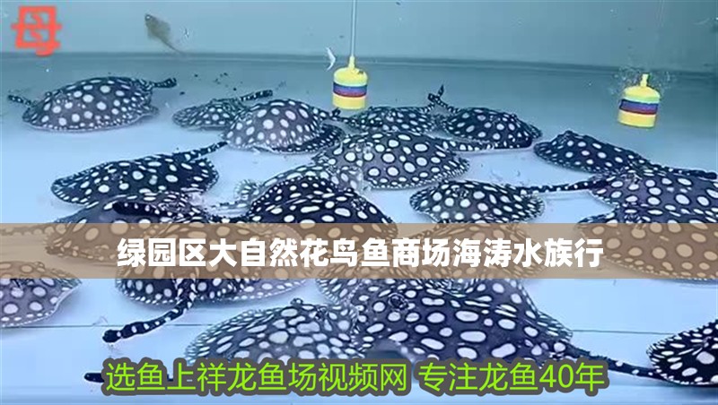 綠園區大自然花鳥魚商場海濤水族行