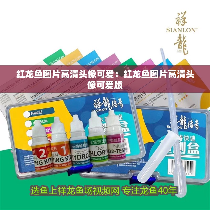 紅龍魚圖片高清頭像可愛：紅龍魚圖片高清頭像可愛版