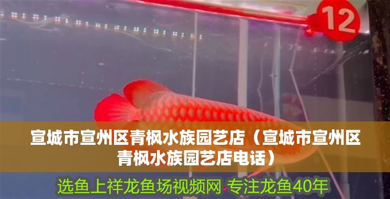 宣城市宣州區青楓水族園藝店（宣城市宣州區青楓水族園藝店電話）