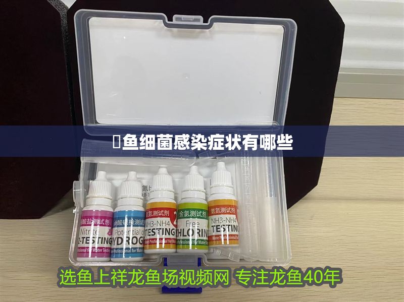 魟魚細(xì)菌感染癥狀有哪些