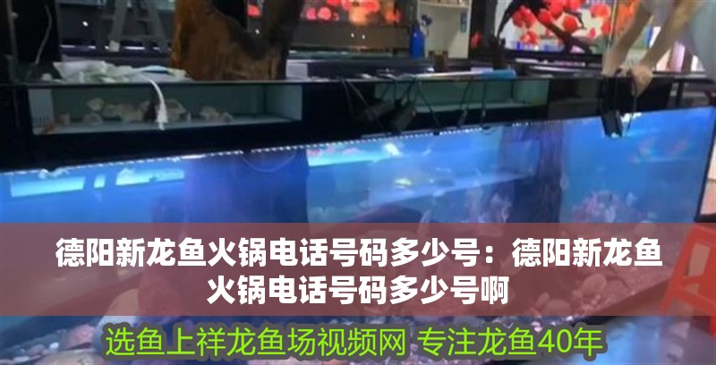 德陽新龍魚火鍋電話號碼多少號：德陽新龍魚火鍋電話號碼多少號啊