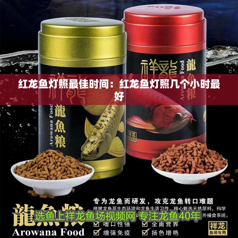 紅龍魚燈照最佳時間：紅龍魚燈照幾個小時最好