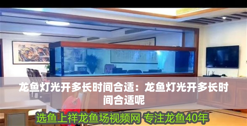 龍魚燈光開多長時間合適：龍魚燈光開多長時間合適呢