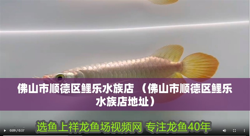 佛山市順德區鯉樂水族店 （佛山市順德區鯉樂水族店地址）