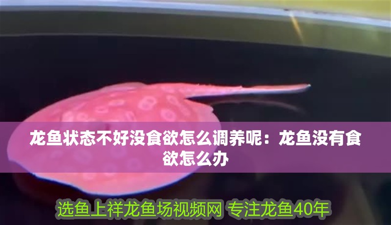 龍魚(yú)狀態(tài)不好沒(méi)食欲怎么調(diào)養(yǎng)呢：龍魚(yú)沒(méi)有食欲怎么辦 龍魚(yú)狀態(tài)不好沒(méi)食欲怎么調(diào)養(yǎng)呢：龍魚(yú)沒(méi)有食欲怎么辦 龍魚(yú)百科 第2張