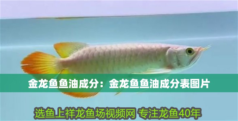 金龍魚魚油成分：金龍魚魚油成分表圖片