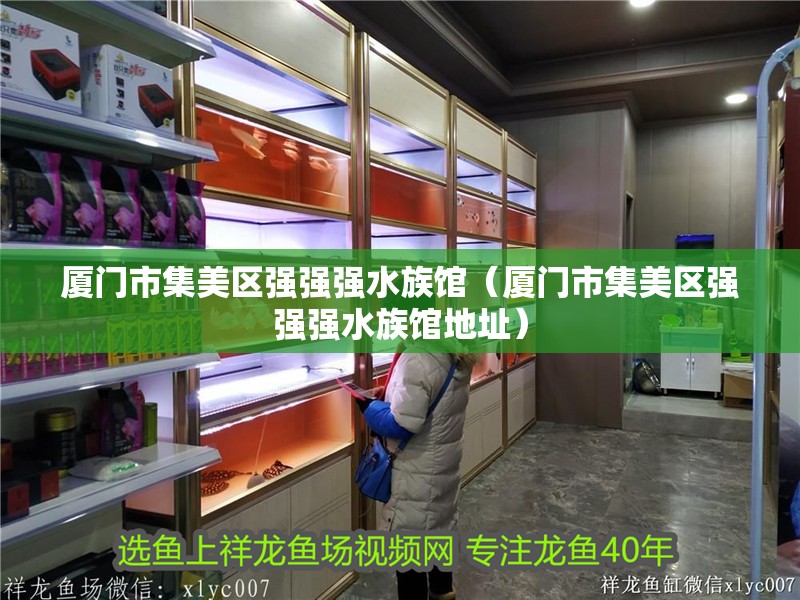 廈門市集美區強強強水族館（廈門市集美區強強強水族館地址）