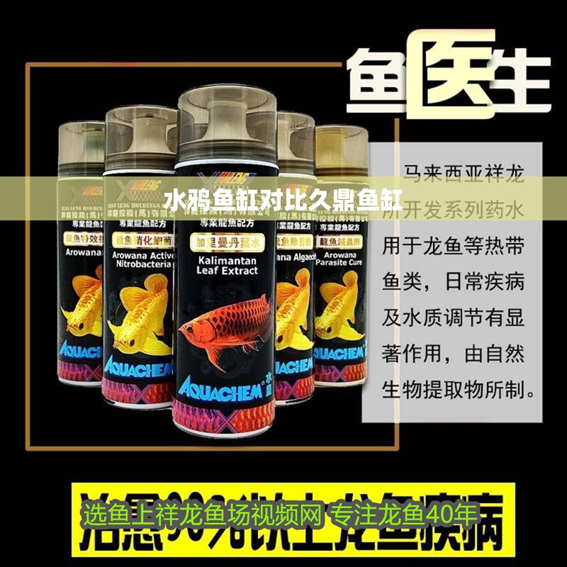 水鴉魚缸對比久鼎魚缸