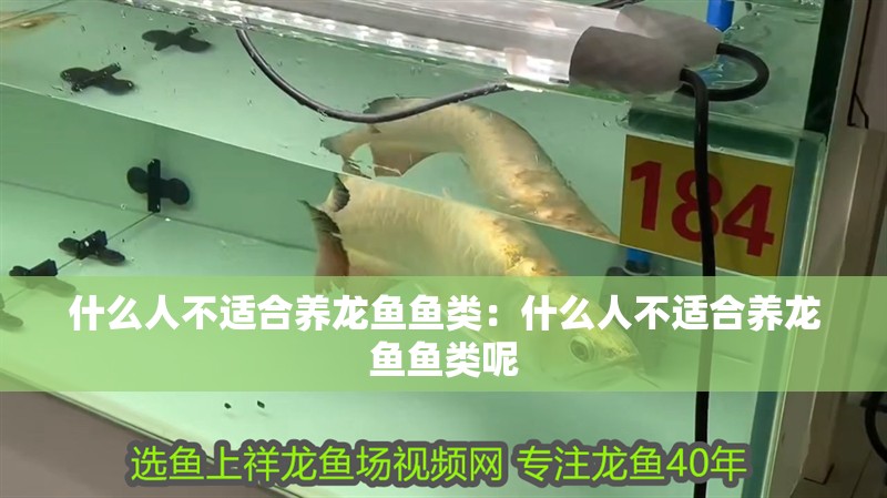 什么人不適合養(yǎng)龍魚魚類：什么人不適合養(yǎng)龍魚魚類呢