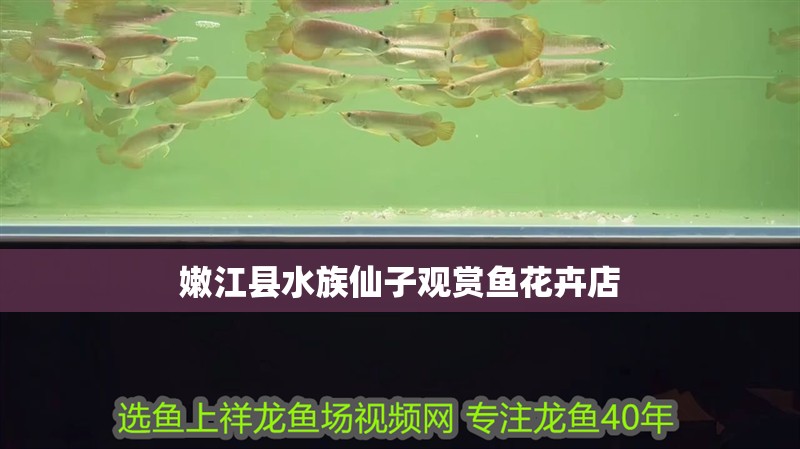 嫩江縣水族仙子觀賞魚花卉店