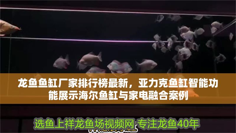 龍魚魚缸廠家排行榜最新，亞力克魚缸智能功能展示海爾魚缸與家電融合案例