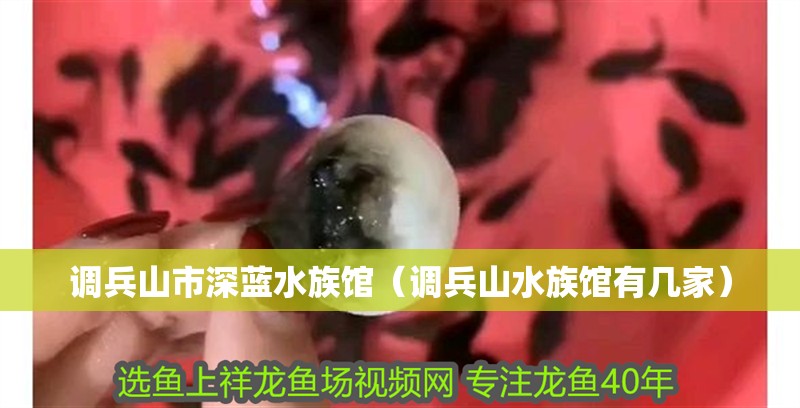 調(diào)兵山市深藍(lán)水族館（調(diào)兵山水族館有幾家）