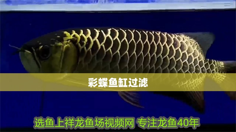 彩蝶魚缸過濾