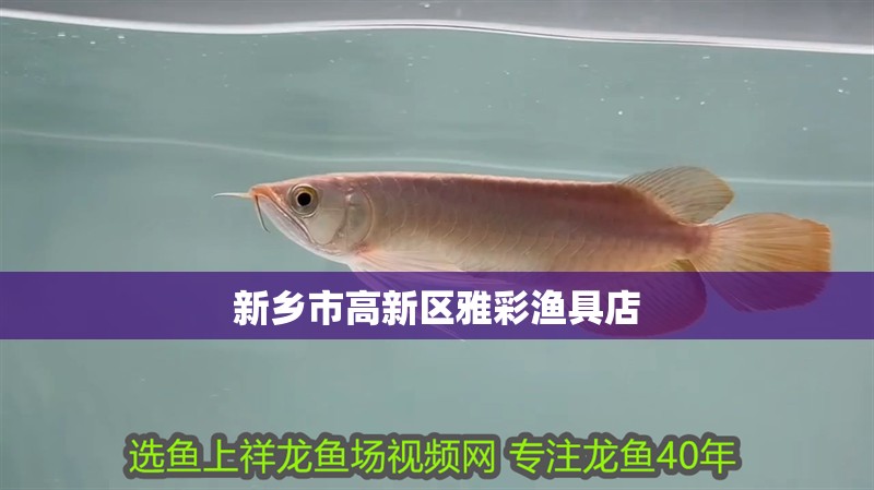 新鄉(xiāng)市高新區(qū)雅彩漁具店