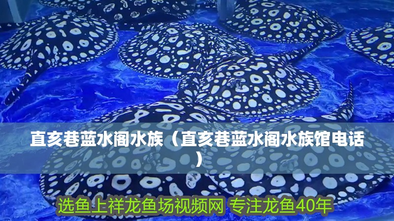 直亥巷藍水閣水族（直亥巷藍水閣水族館電話）