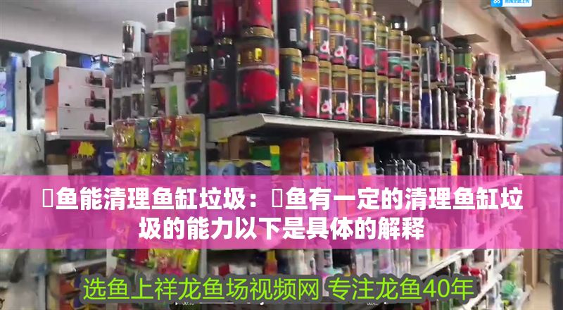 魟魚能清理魚缸垃圾：魟魚有一定的清理魚缸垃圾的能力以下是具體的解釋