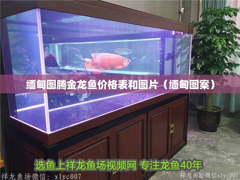 緬甸圖騰金龍魚(yú)價(jià)格表和圖片（緬甸圖案）