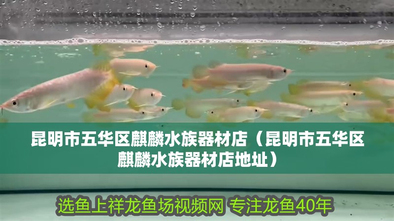 昆明市五華區麒麟水族器材店（昆明市五華區麒麟水族器材店地址）