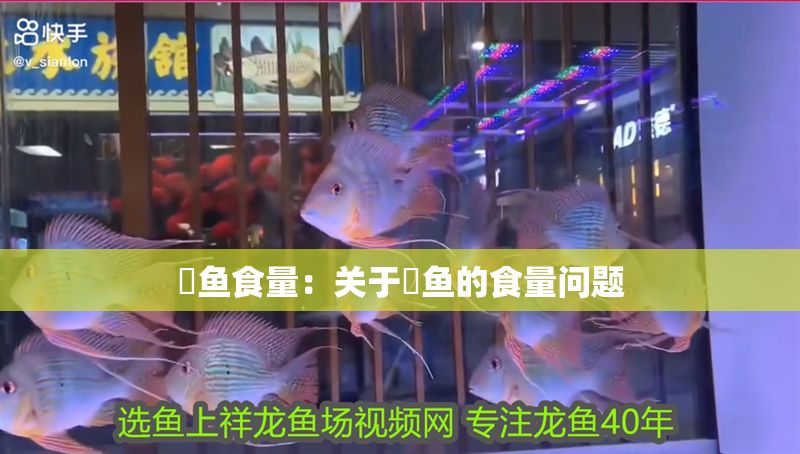 魟魚食量：關于魟魚的食量問題