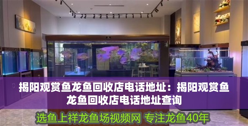 揭陽觀賞魚龍魚回收店電話地址：揭陽觀賞魚龍魚回收店電話地址查詢