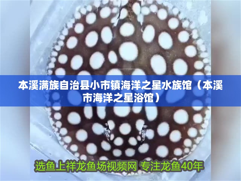 本溪滿族自治縣小市鎮海洋之星水族館（本溪市海洋之星浴館）